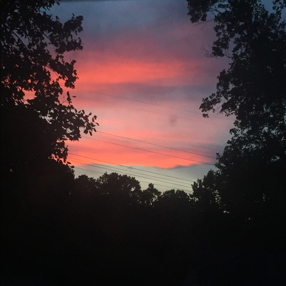 Meet your Posher, Moni - Picture 1 of 1